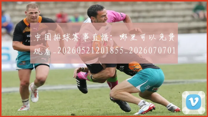 中国排球赛事直播:哪里可以免费观看_20260521201855_20260707011335_20260717234708