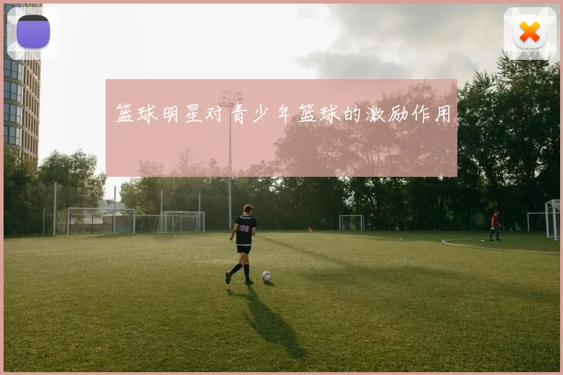 篮球明星对青少年篮球的激励作用